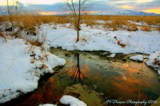 Sunset Reflection 11-29-2016.jpg