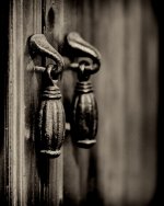 DSC_2451 (1).jpg