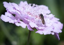 untitled-1-1497.jpg