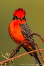 DSC_0613.jpg