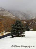 Farmington Canyon 12-1-2016.jpg