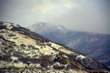 Farmington Canyon #2 12-1-2016.jpg