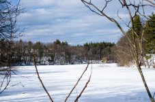 DSC_3615.jpg