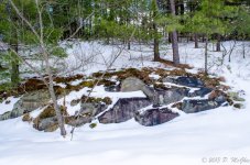 DSC_3624.jpg