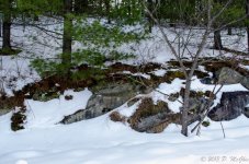 DSC_3625.jpg