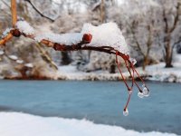 DSCN4257.jpg