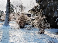 DSCN4283.jpg