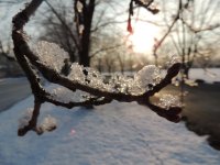 DSCN4253.jpg