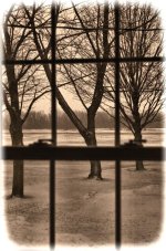 window view.jpg