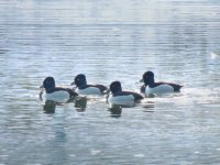 DSCN4378.jpg