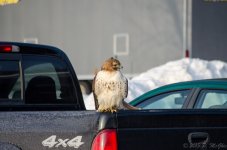 DSC_3650.jpg