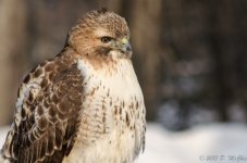 DSC_3664.jpg
