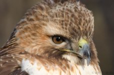 DSC_3674.jpg