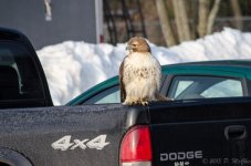 DSC_3644.jpg