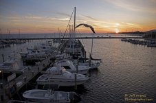 _DSC6445.jpg
