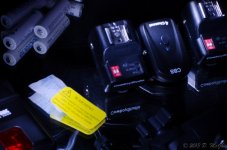 DSC_3678.jpg
