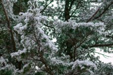 DSC_3702.jpg