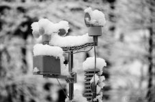 DSC_3699.jpg