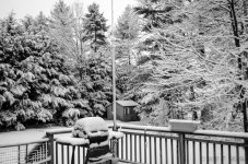 DSC_3697.jpg