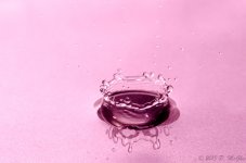 DSC_3764.jpg