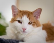 DSC_2617_5646.jpg
