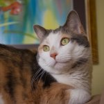 DSC_4583.jpg