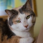 DSC_4588.jpg