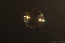 DSC_3983.jpg