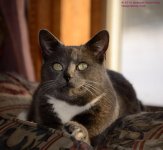 048 Buster-130217-01-Cropped_01.jpg
