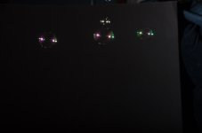 DSC_3987.jpg