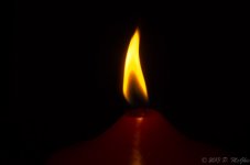 DSC_4083.jpg