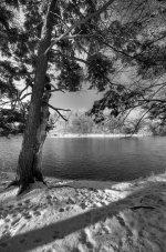 B&W winter scene.jpg