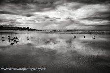 _D8A3166-Edit-3-sm.jpg