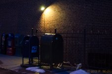 DSC_4117.jpg