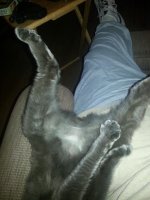 2013-02-18 22.58.29.jpg
