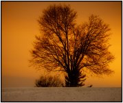 _DSC8824-orange-light2.jpg