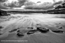 _N8D3807-Edit-2.jpg
