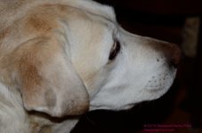 052 Jenny-130221-01_01.jpg