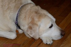 052 Jenny-130221-04_01.jpg
