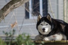 DSC_4145.jpg