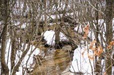 DSC_4150.jpg