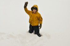 DSC_0028.jpg