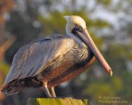 DSC_6207.jpg