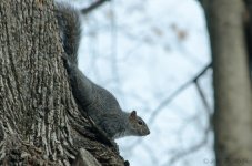 DSC_4172.jpg