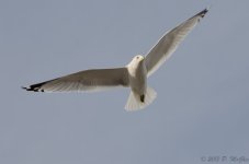 DSC_4206.jpg