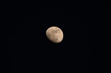 Day52MoonWeb.jpg