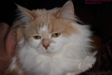 054 Creature-130223-01_01.jpg