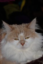 054 Creature-130223-02_01.jpg