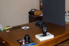 DSC_4302.jpg