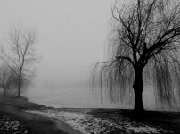 DSCN4152a.jpg